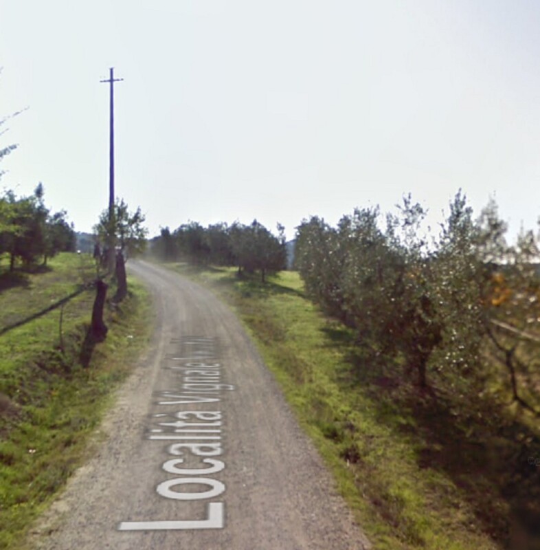 Immagine di TERRENO LOCALITÀ VIGNALE – PIOMBINO