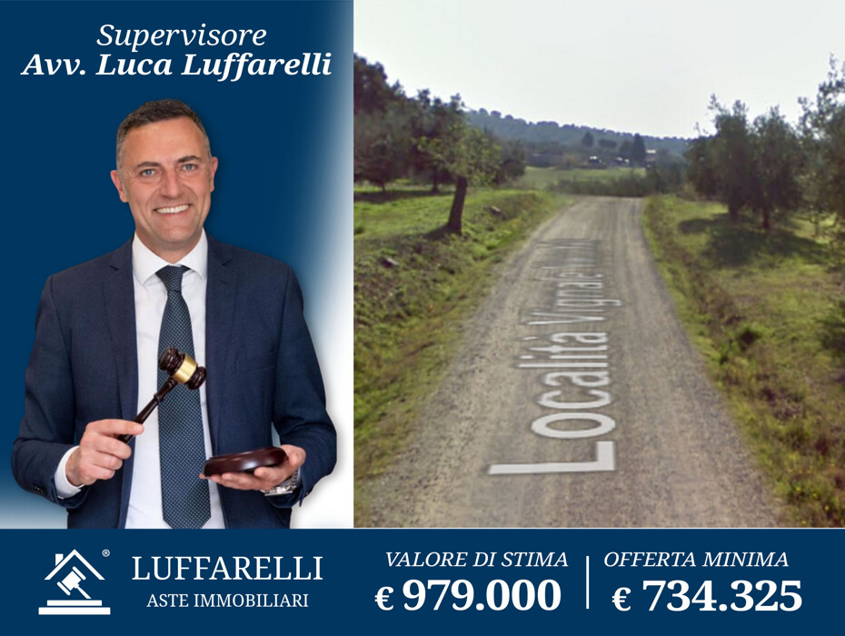 Immagine di TERRENO LOCALITÀ VIGNALE – PIOMBINO