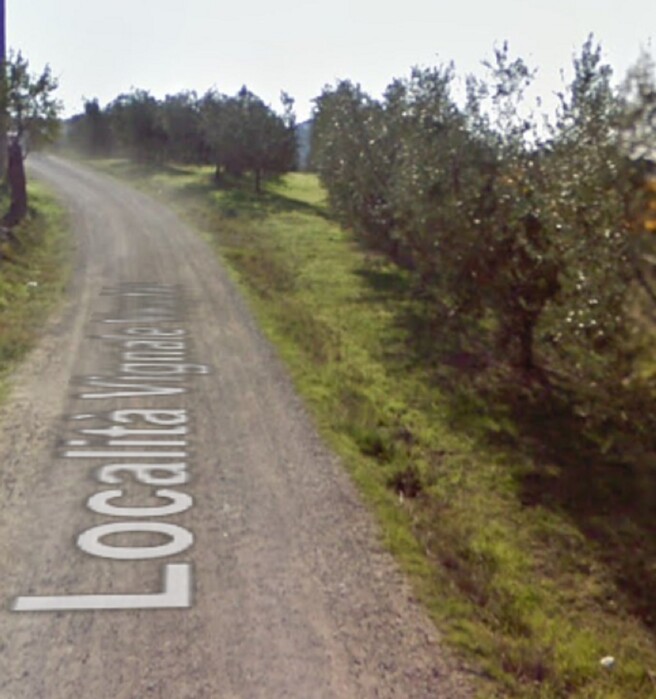 Immagine di NEGOZIO O LOCALE COMMERCIALE LOCALITÀ VIGNALE – PIOMBINO