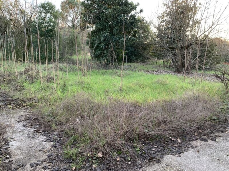 Immagine di RUSTICO E TERRENO VIA CAMPOSTEFANO ARCE FR