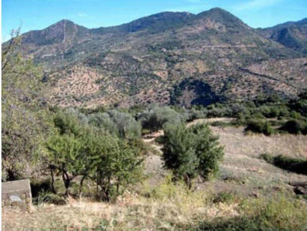 TERRENO CONTRADA GUGLIELMOTTA - GERACI SICULO — foto 3