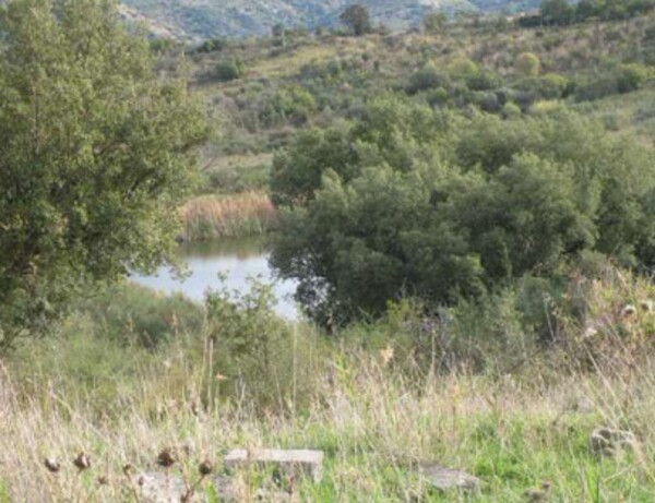 TERRENO CONTRADA ZURRICA - POLLINA — foto 3