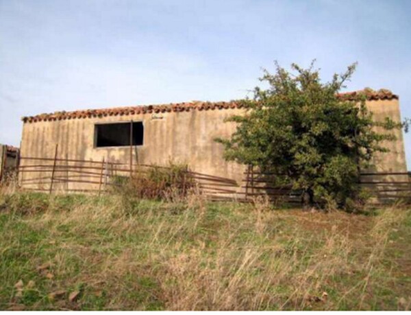 TERRENO CONTRADA ZURRICA - POLLINA — foto 5