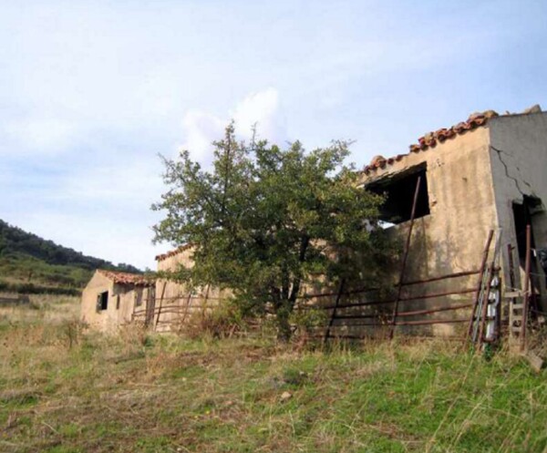 TERRENO CONTRADA ZURRICA - POLLINA — foto 4