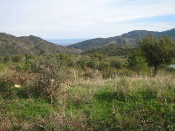 TERRENO CONTRADA ZURRICA - POLLINA — foto 2
