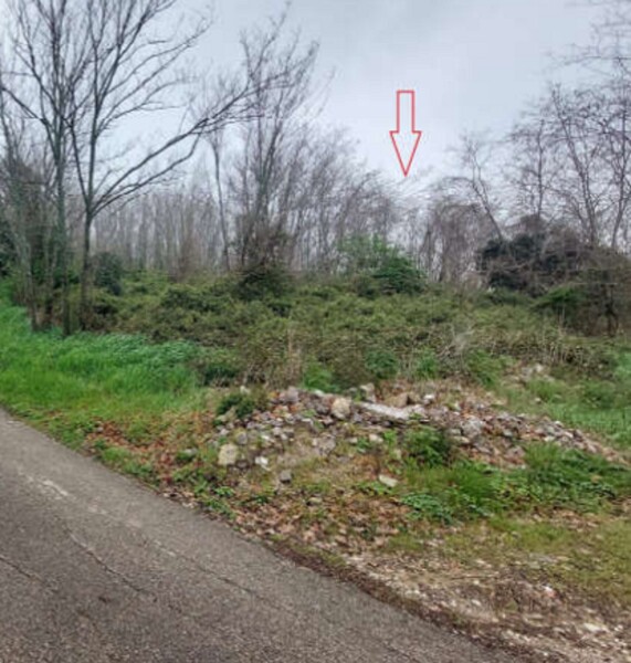 TERRENO LOCALITA' MONTEROMANESCO - PESARO — foto 9