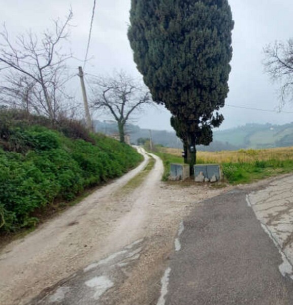 TERRENO LOCALITA' MONTEROMANESCO - PESARO — foto 5