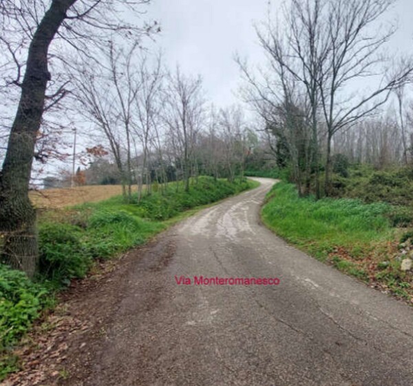 TERRENO LOCALITA' MONTEROMANESCO - PESARO — foto 8