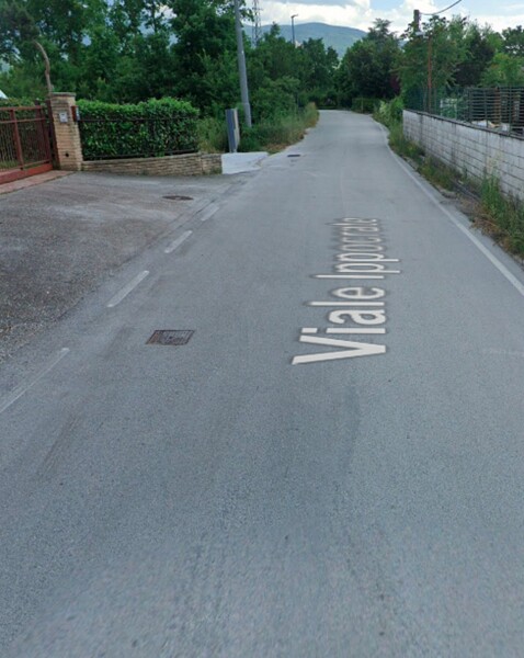 CAPANNONE / IMMOBILI INDUSTRIALI VIALE IPPOCRATE SNC - PESCHE — foto 2