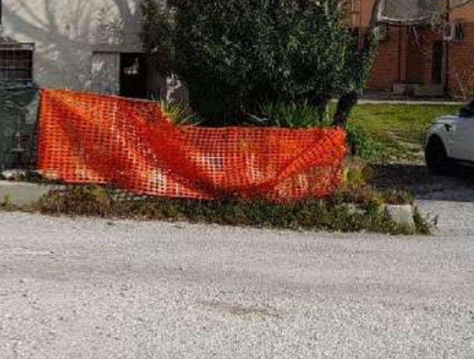 Immagine di TERRENI LOC.CUCCURANO-FANO (PU)