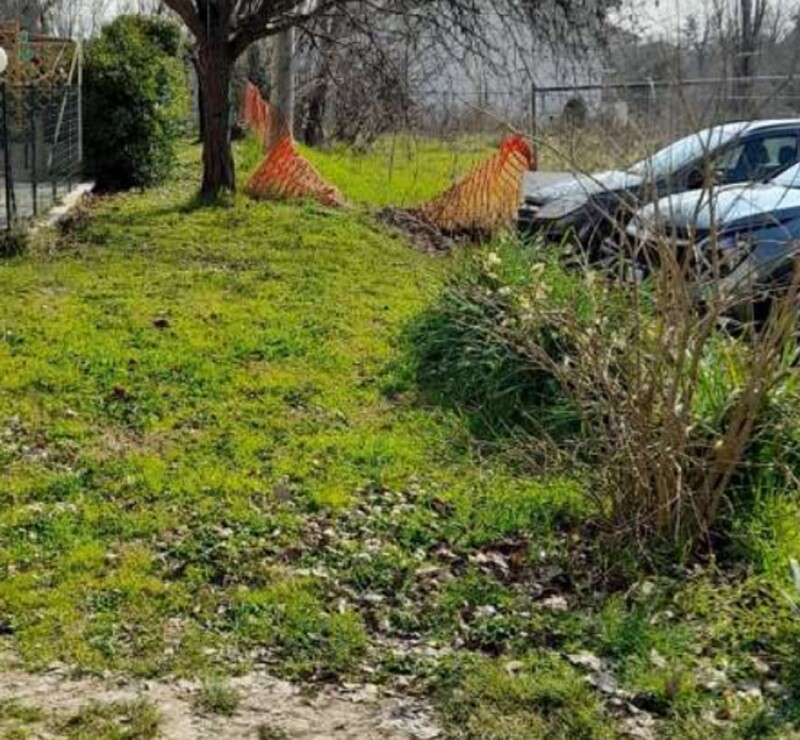 Immagine di TERRENI LOC.CUCCURANO-FANO (PU)