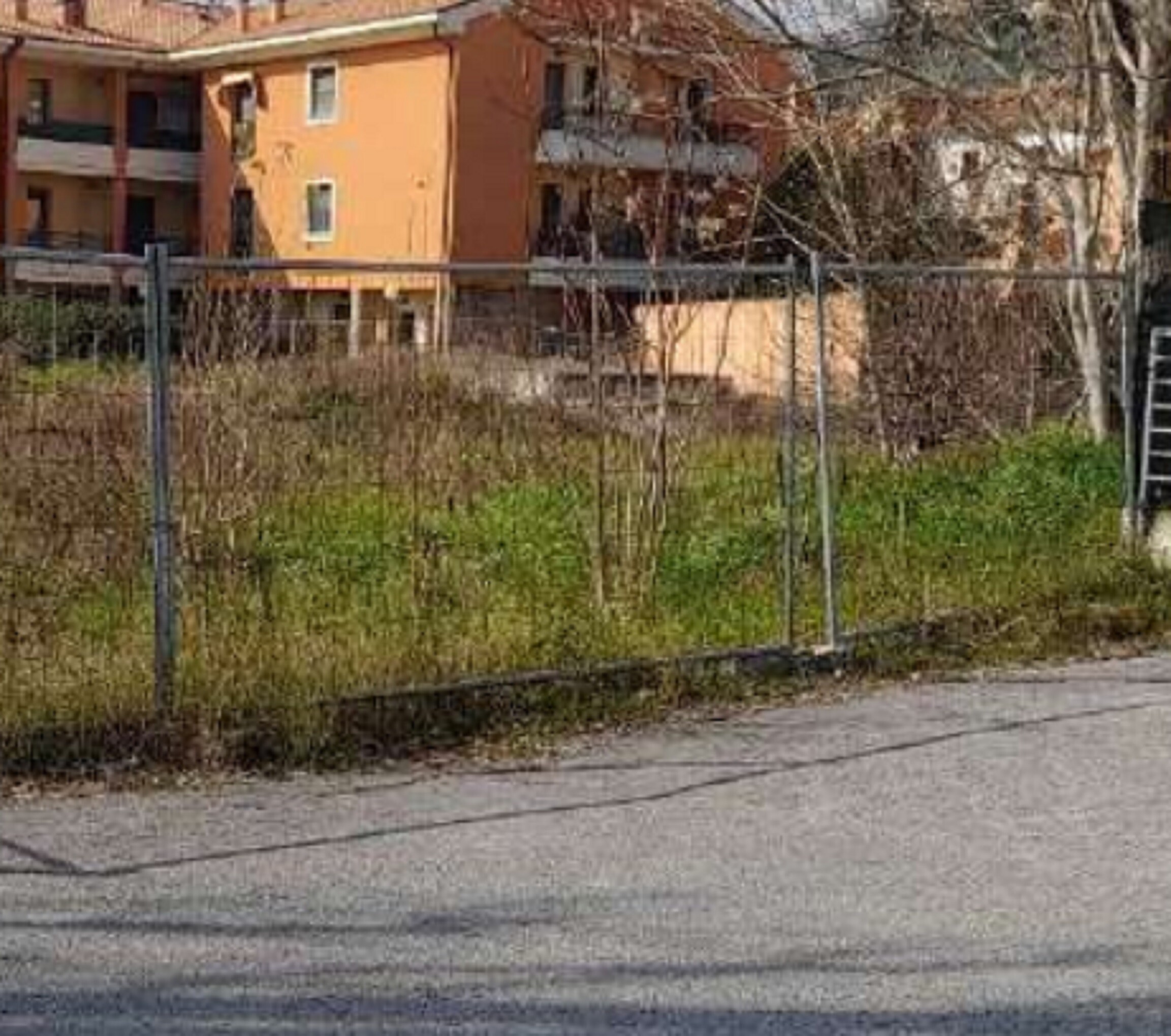 TERRENI LOC.CUCCURANO-FANO (PU) — foto 3