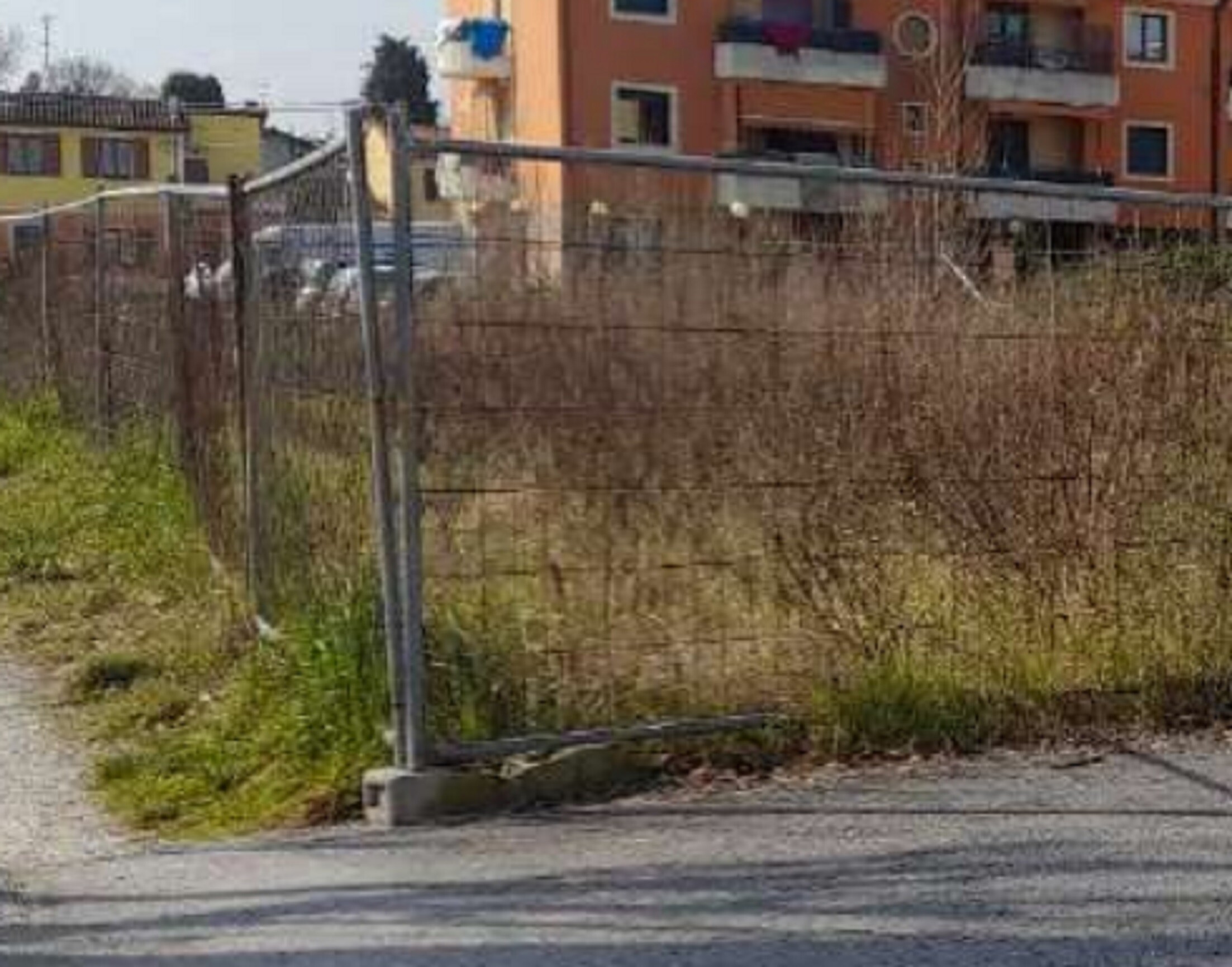 TERRENI LOC.CUCCURANO-FANO (PU) — foto 2