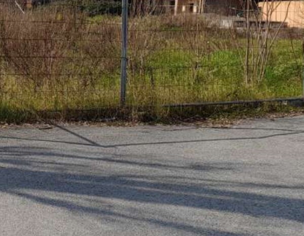 TERRENI LOC.CUCCURANO-FANO (PU) — foto 7