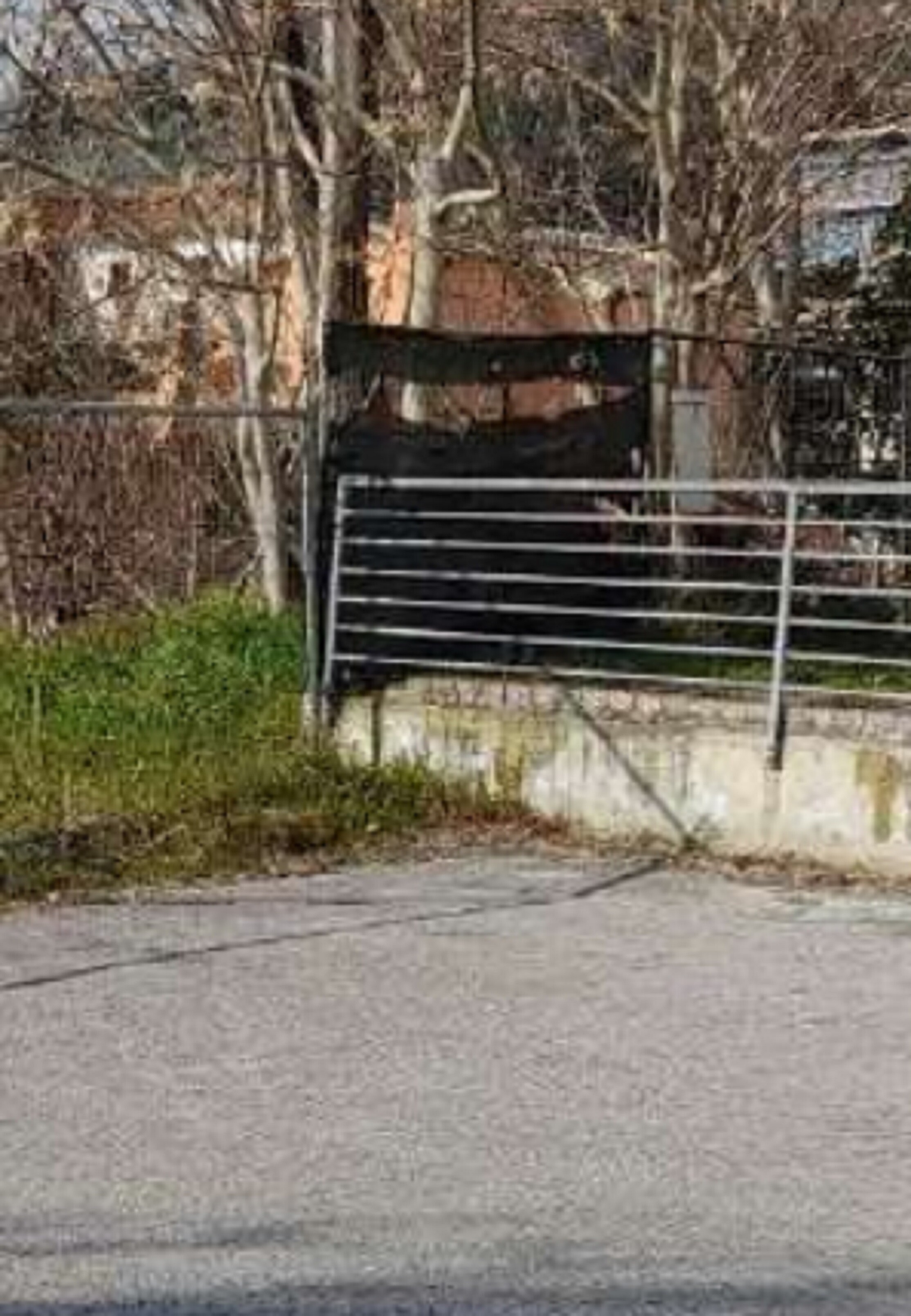 TERRENI LOC.CUCCURANO-FANO (PU) — foto 4