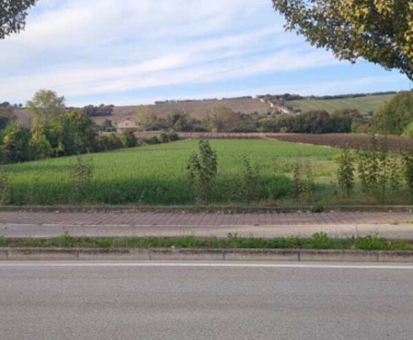 TERRENO FRAZIONE MAROTTA - VIA UGO BETTI - MONDOLFO — foto 9