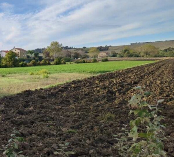 TERRENO FRAZIONE MAROTTA - VIA UGO BETTI - MONDOLFO — foto 2