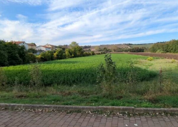 TERRENO FRAZIONE MAROTTA - VIA UGO BETTI - MONDOLFO — foto 4