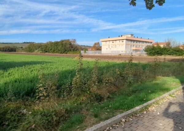 TERRENO FRAZIONE MAROTTA - VIA UGO BETTI - MONDOLFO — foto 6