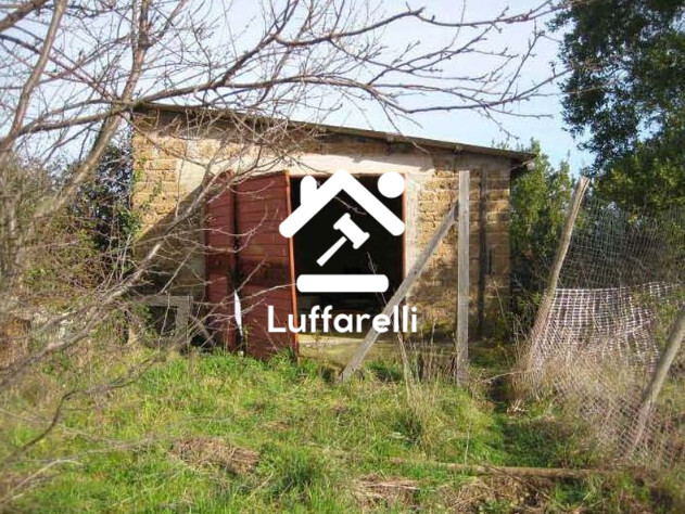 Immagine di TERRENO VIA PAOLELLO – CIVITELLA SAN PAOLO (RM)
