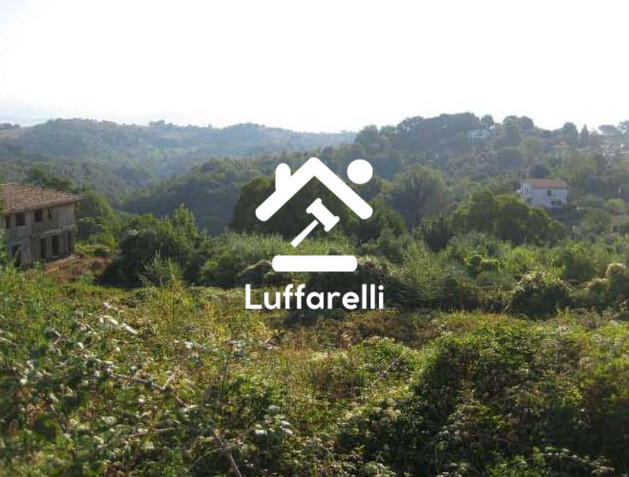 Immagine di TERRENO VIA PAOLELLO – CIVITELLA SAN PAOLO (RM)