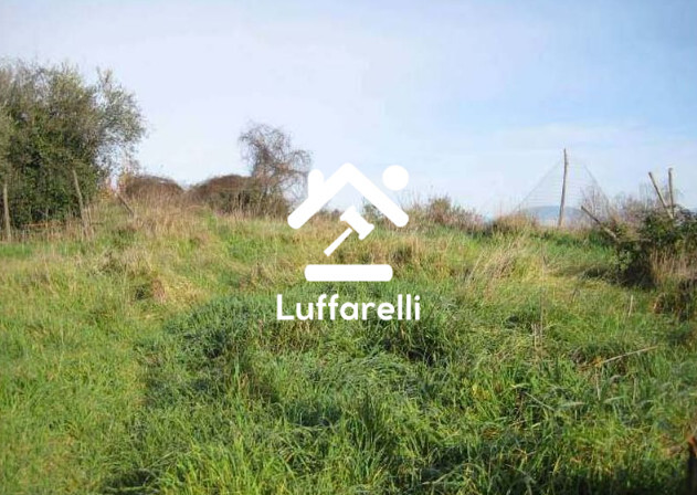 Immagine di TERRENO VIA PAOLELLO – CIVITELLA SAN PAOLO (RM)