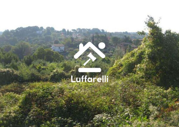 TERRENO VIA PAOLELLO - CIVITELLA SAN PAOLO (RM) — foto 5
