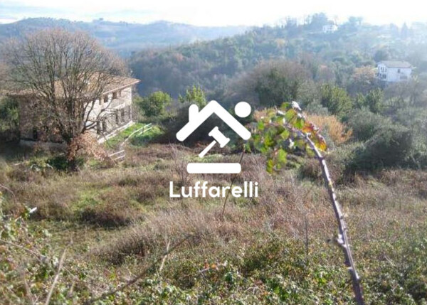 TERRENO VIA PAOLELLO - CIVITELLA SAN PAOLO (RM) — foto 7