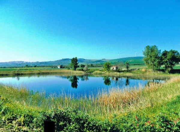 AZ.AGRICOLA C.DA DIFESA NUOVA, S.P.40, ROTELLO(CB) — foto 9