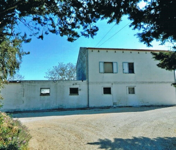 AZ.AGRICOLA C.DA DIFESA NUOVA, S.P.40, ROTELLO(CB) — foto 2