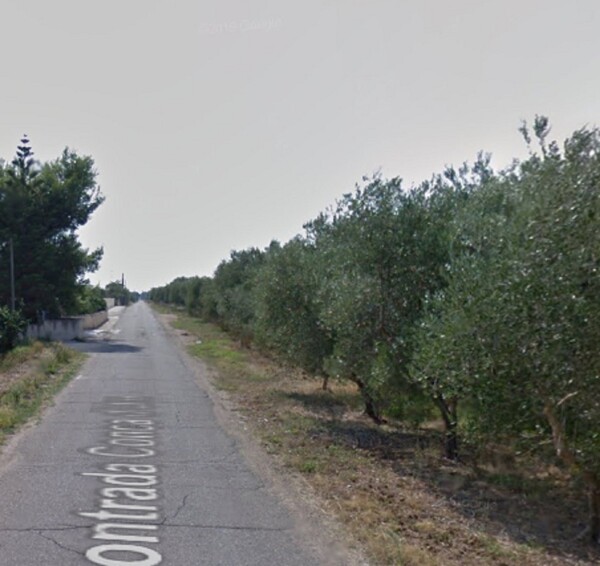 NEGOZIO O LOCALE COMMERCIALE CONTRADA CONCA D'ORO - PALAGIANO — foto 4