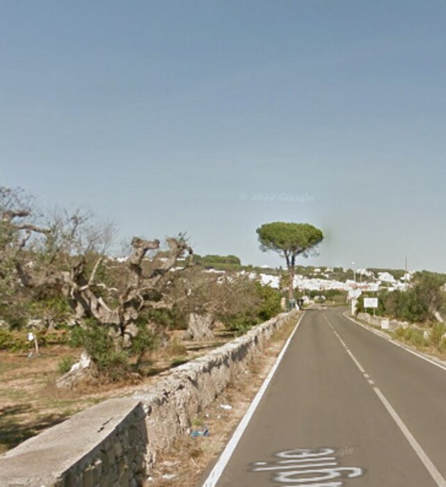 Immagine di ATTIVITÀ RICETTIVE / SCOPO COMMERCIALE CONTRADA PRANDICO – TUGLIE