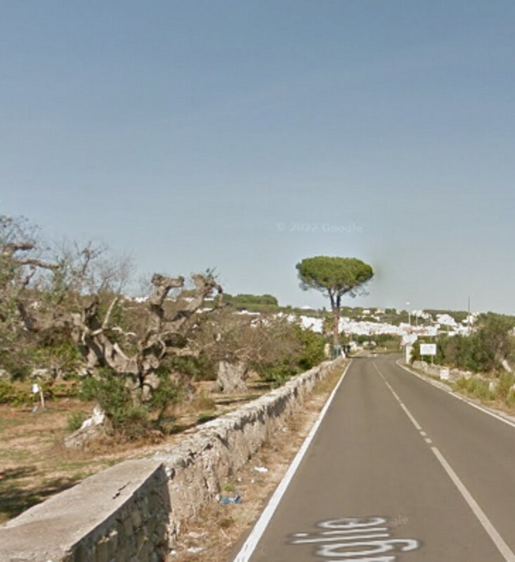 Immagine di ATTIVITÀ RICETTIVE / SCOPO COMMERCIALE CONTRADA PRANDICO – TUGLIE