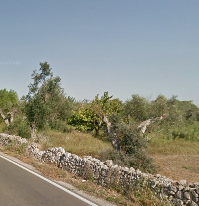 Immagine di ATTIVITÀ RICETTIVE / SCOPO COMMERCIALE CONTRADA PRANDICO – TUGLIE