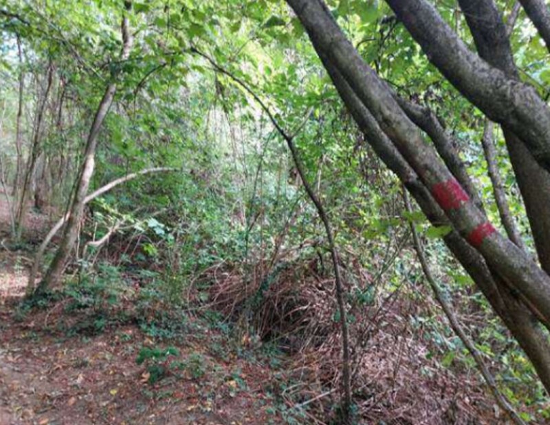 Immagine di TERRENI VIA SPERSIGLIO – PRADALUNGA  (BG)