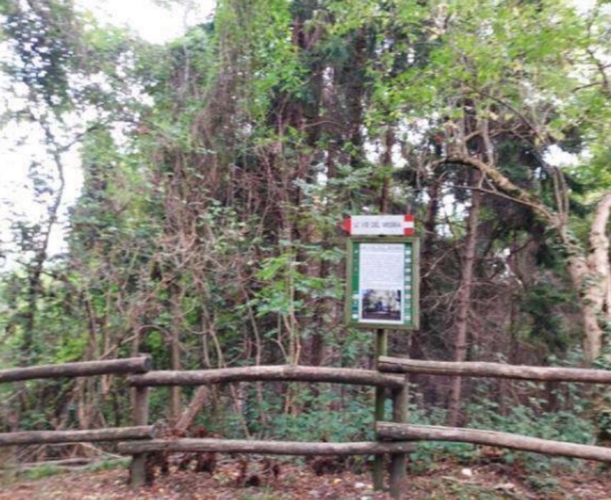 Immagine di TERRENI VIA SPERSIGLIO – PRADALUNGA  (BG)