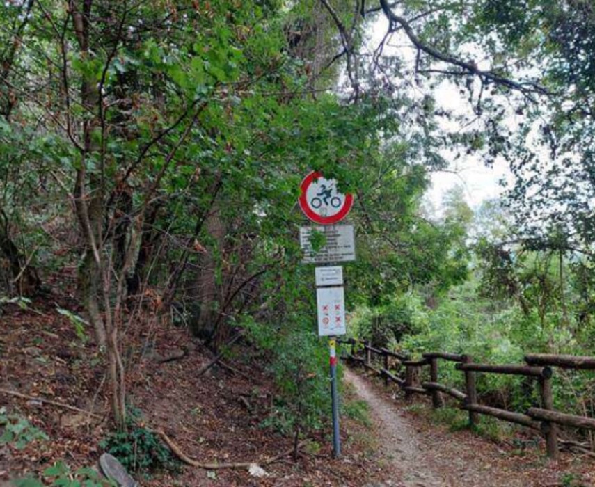 Immagine di TERRENI VIA SPERSIGLIO – PRADALUNGA  (BG)