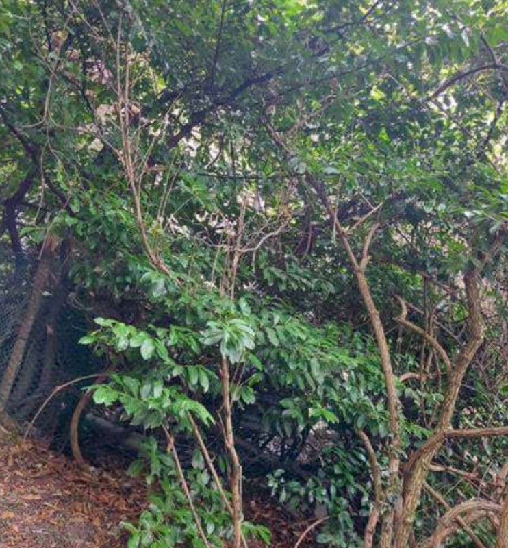 Immagine di TERRENI VIA SPERSIGLIO – PRADALUNGA  (BG)