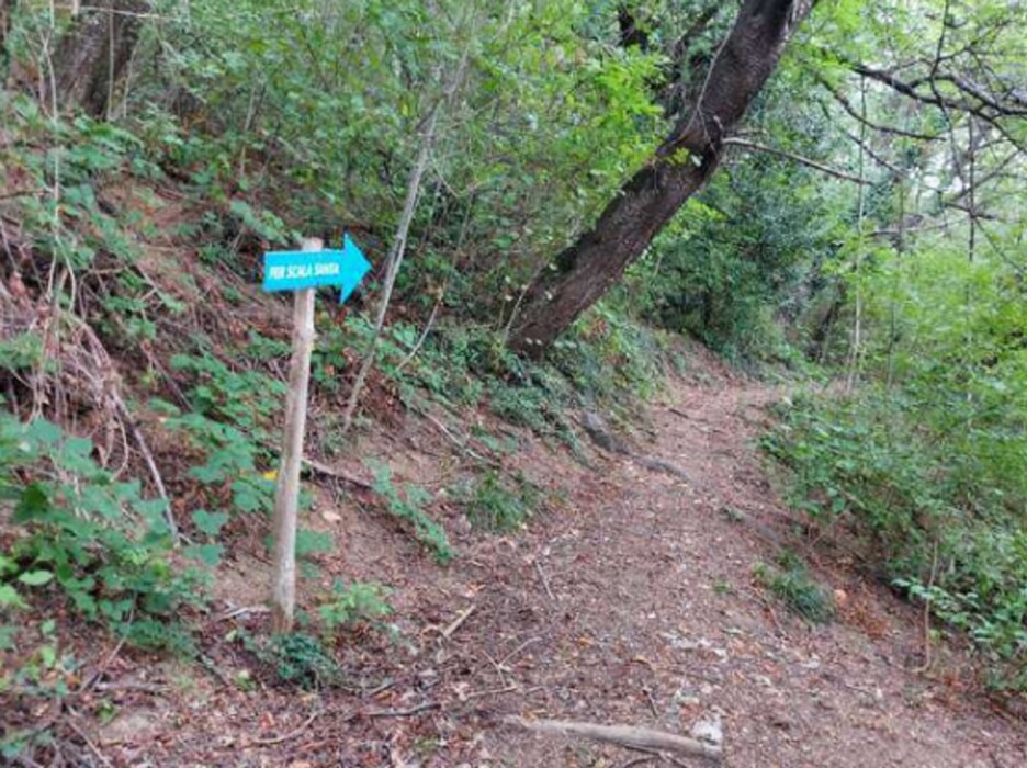 Immagine di TERRENI VIA SPERSIGLIO – PRADALUNGA  (BG)