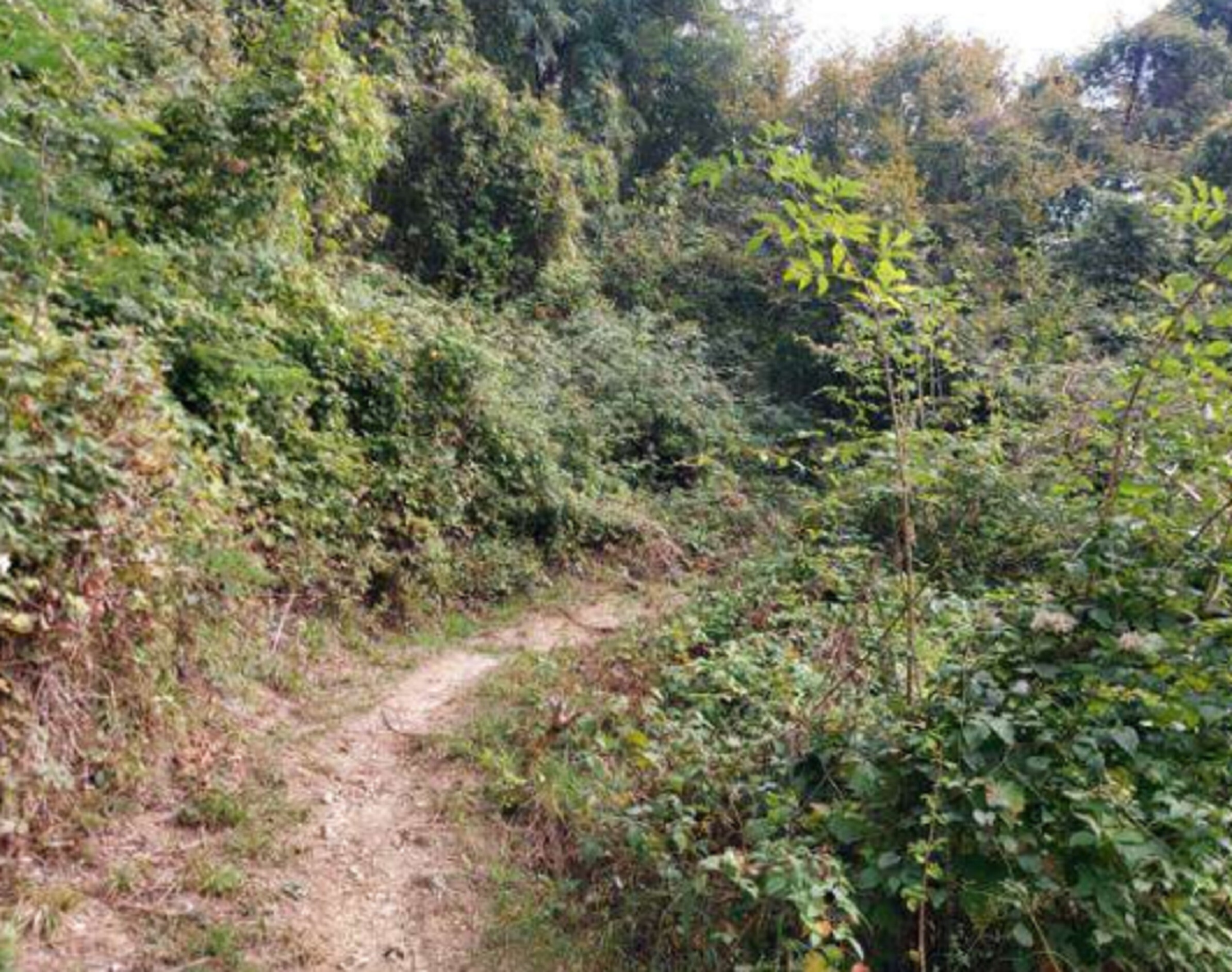 TERRENI VIA SPERSIGLIO - PRADALUNGA  (BG) — foto 2