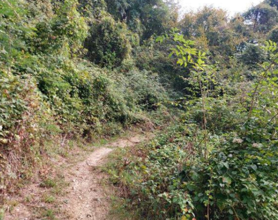 Immagine di TERRENI VIA SPERSIGLIO – PRADALUNGA  (BG)