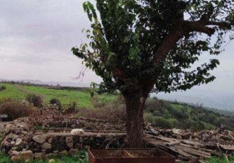 Immagine di COMPL.AGRICOLO C.DA SCIRINO, CARLENTINI (SR)
