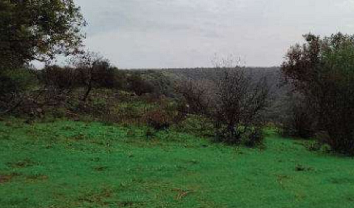 Immagine di COMPL.AGRICOLO C.DA SCIRINO, CARLENTINI (SR)