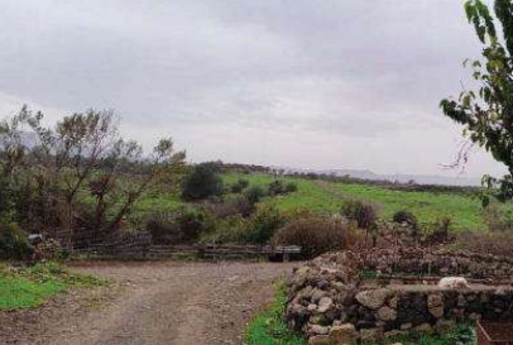 Immagine di COMPL.AGRICOLO C.DA SCIRINO, CARLENTINI (SR)