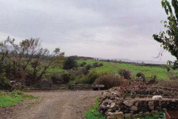 COMPL.AGRICOLO CONTRADA SCIRINO ALTO - CARLENTINI — foto 6