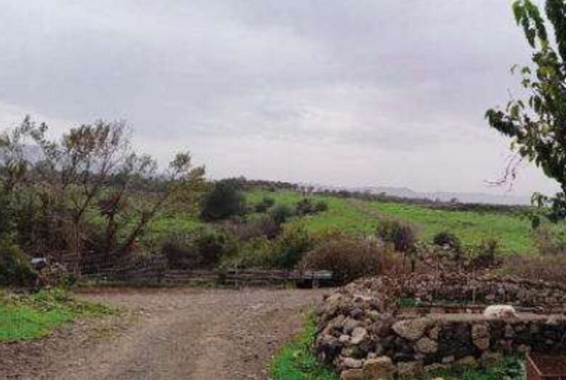 Immagine di COMPL.AGRICOLO C.DA SCIRINO, CARLENTINI (SR)