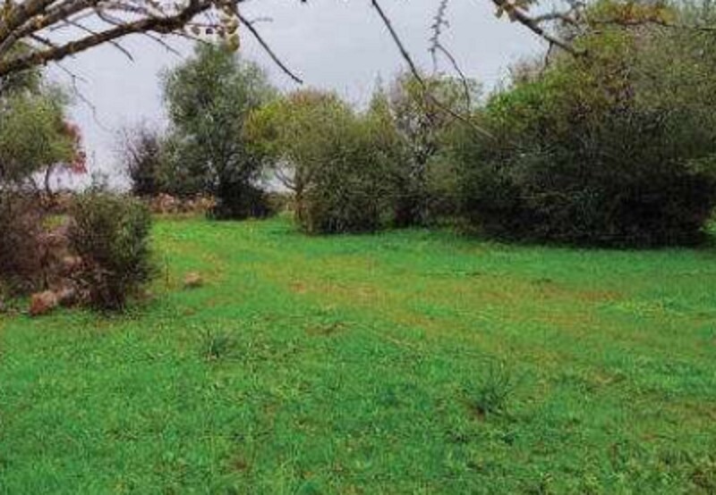 Immagine di COMPL.AGRICOLO C.DA SCIRINO, CARLENTINI (SR)