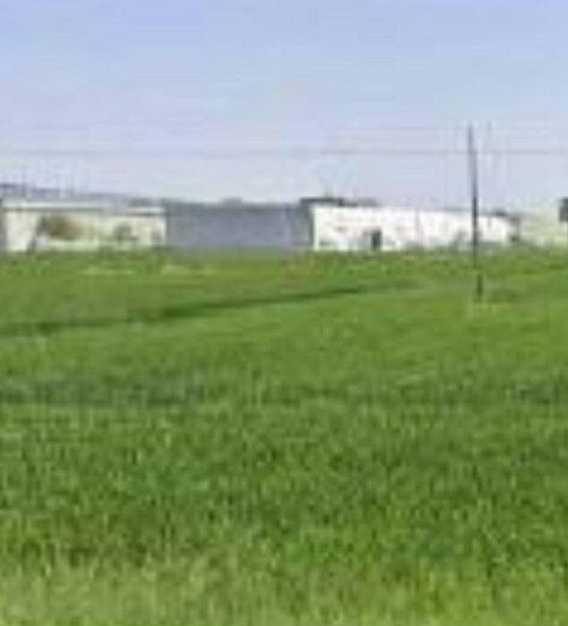 Immagine di TERRENO VIA ZAMPESCHI – FORLÌ