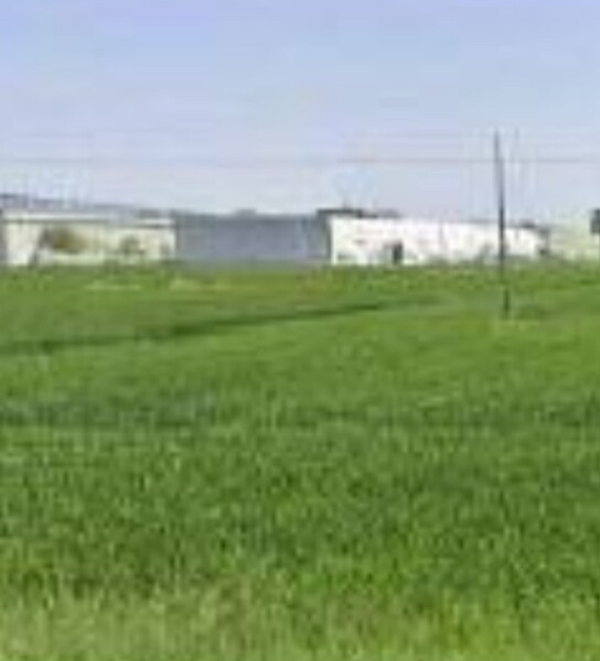 TERRENO VIA ZAMPESCHI - FORLÌ — foto 2