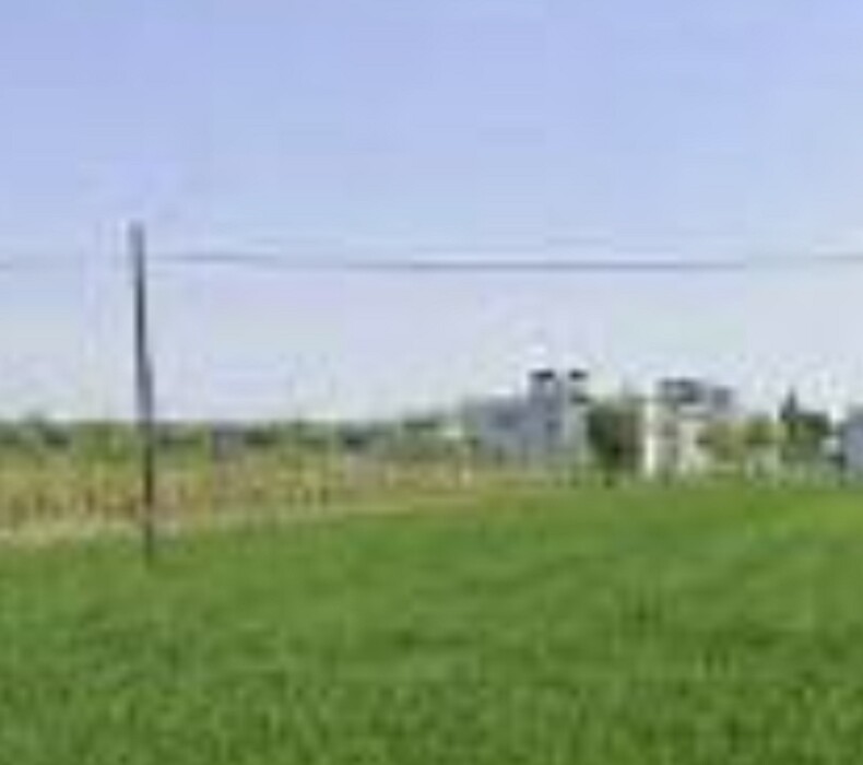 Immagine di TERRENO VIA ZAMPESCHI – FORLÌ